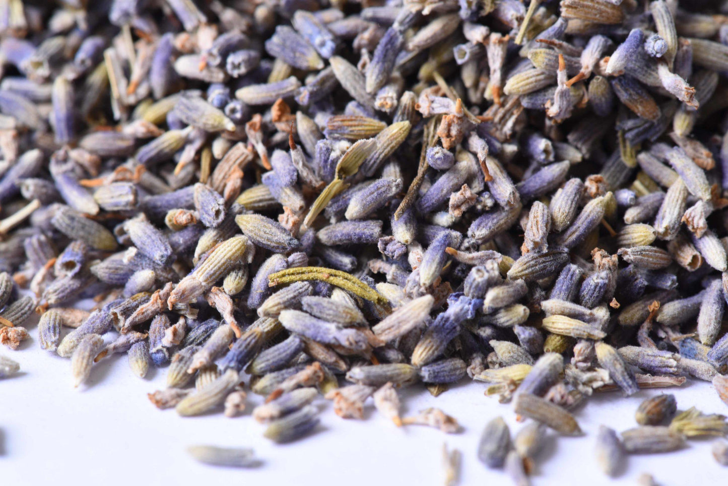 LAVENDER - Spice Professors