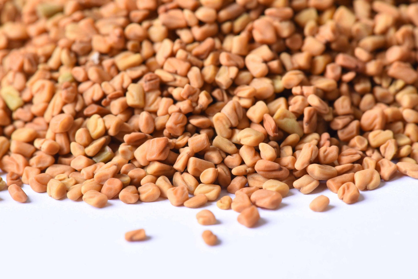Close-up of whole fenugreek seeds on a white background, used for spice blends and cooking.