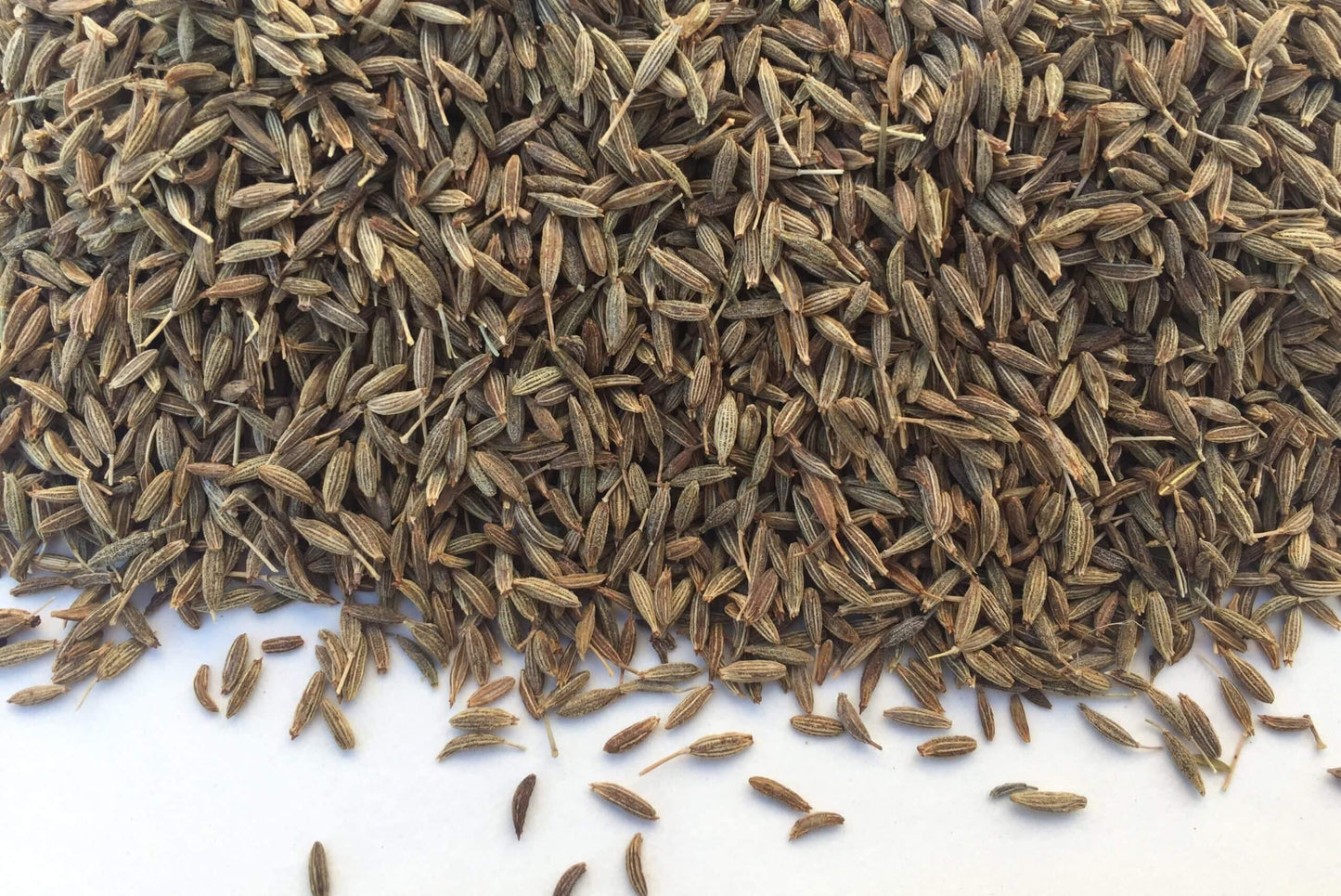 Loose cumin seeds spread on a white surface for spice blending or cooking