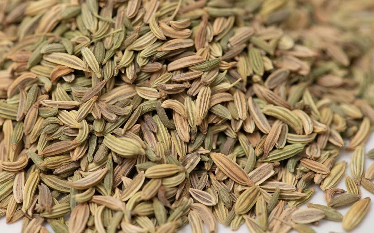 Close-up of whole dried fennel seeds for cooking and spice blends