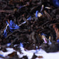 Loose leaf black tea blend with blue cornflower petals, high quality closeup